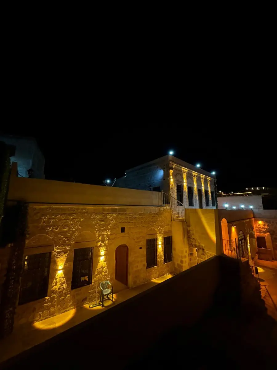 ORGANİZASYON